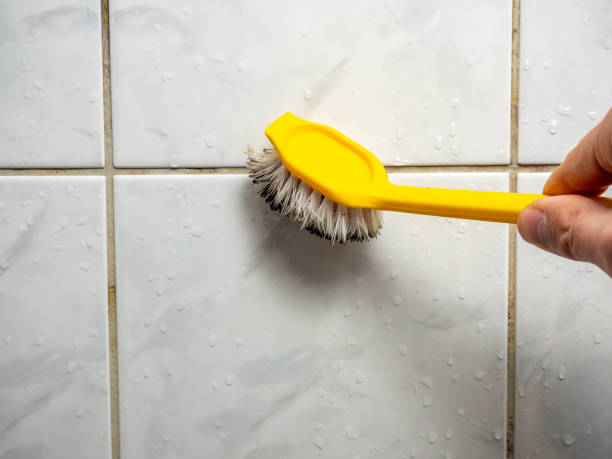 Best Mold Removal Company Near Me  in Delavan, WI