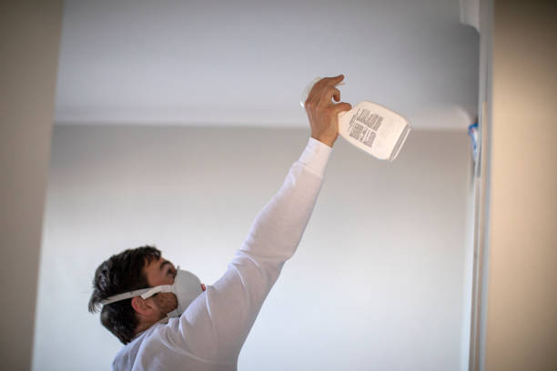 Best Office Mold Removal Services  in Delavan, WI