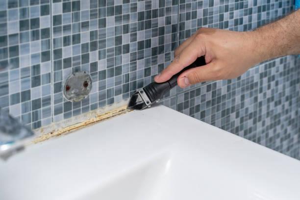 Best Local Mold Removal Service  in Delavan, WI