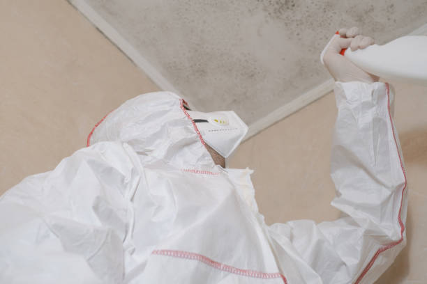 Best Toxic Mold Removal  in Delavan, WI
