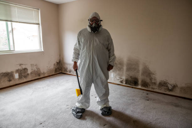 Best Mold Testing  in Delavan, WI